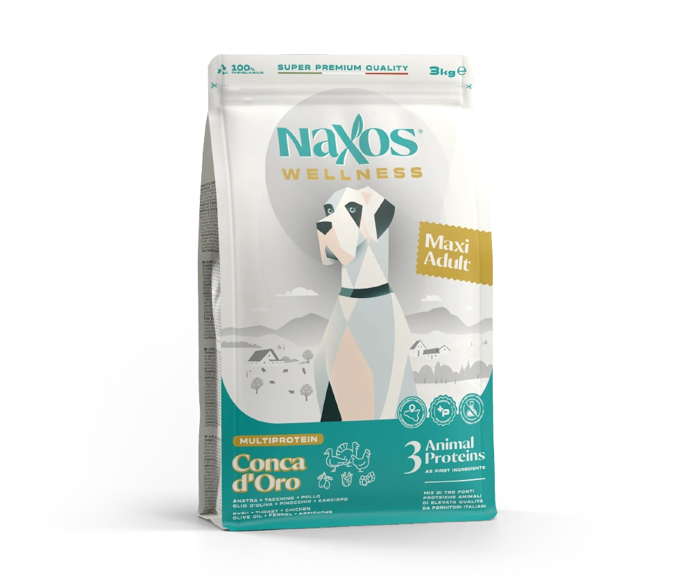 Maxi Adult CO