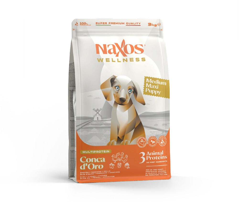 Medium_Maxi Puppy CO