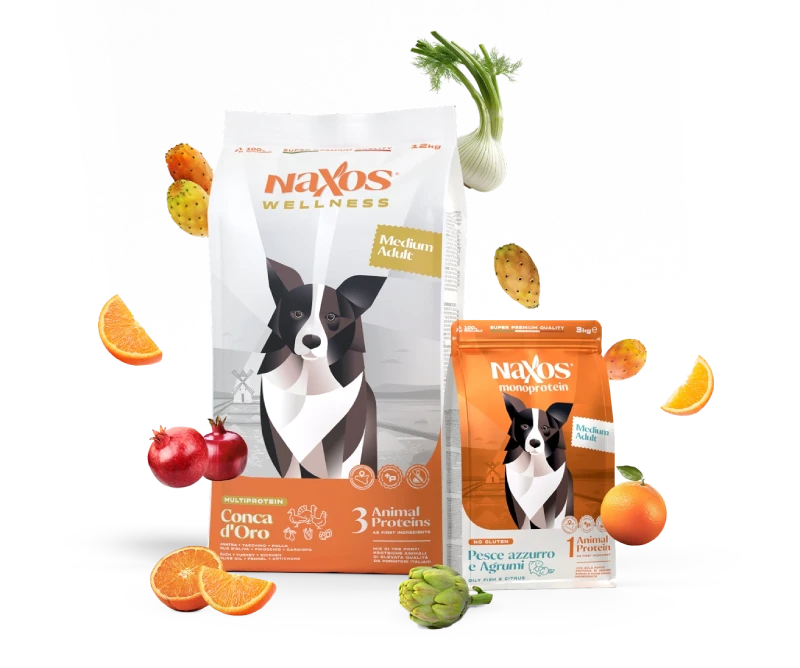 mix-cani-copia-1 (1)