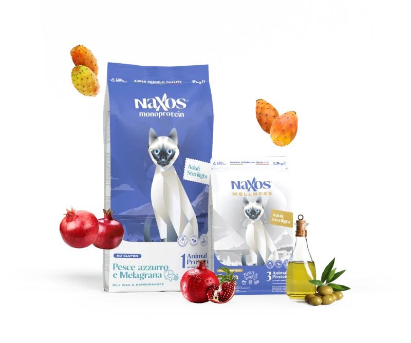 mix-gatto-1 (1)